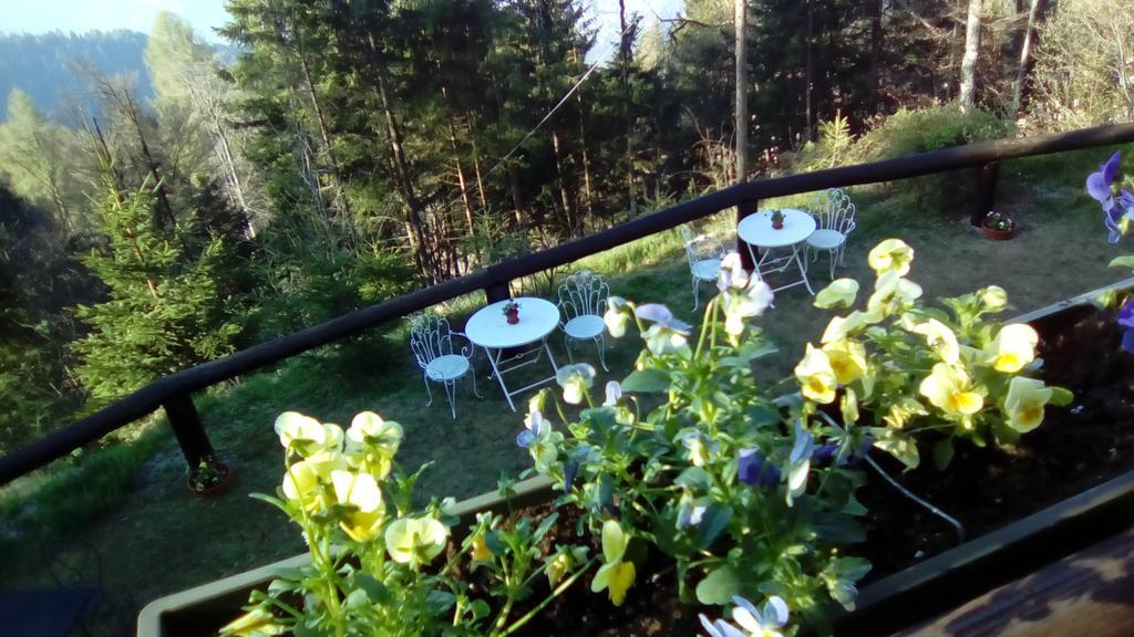 Abetina Apartment Levico Terme Bagian luar foto