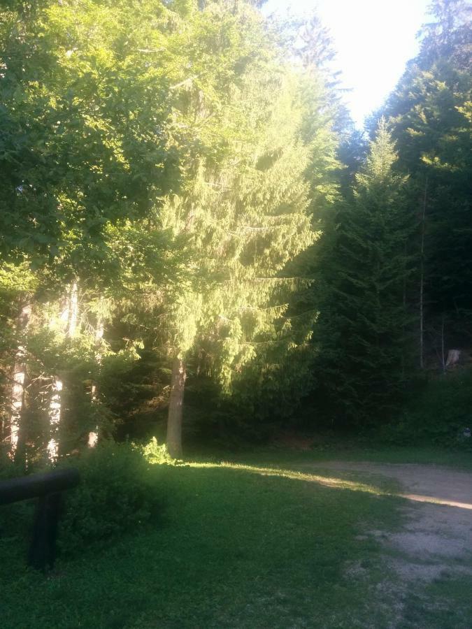 Abetina Apartment Levico Terme Bagian luar foto