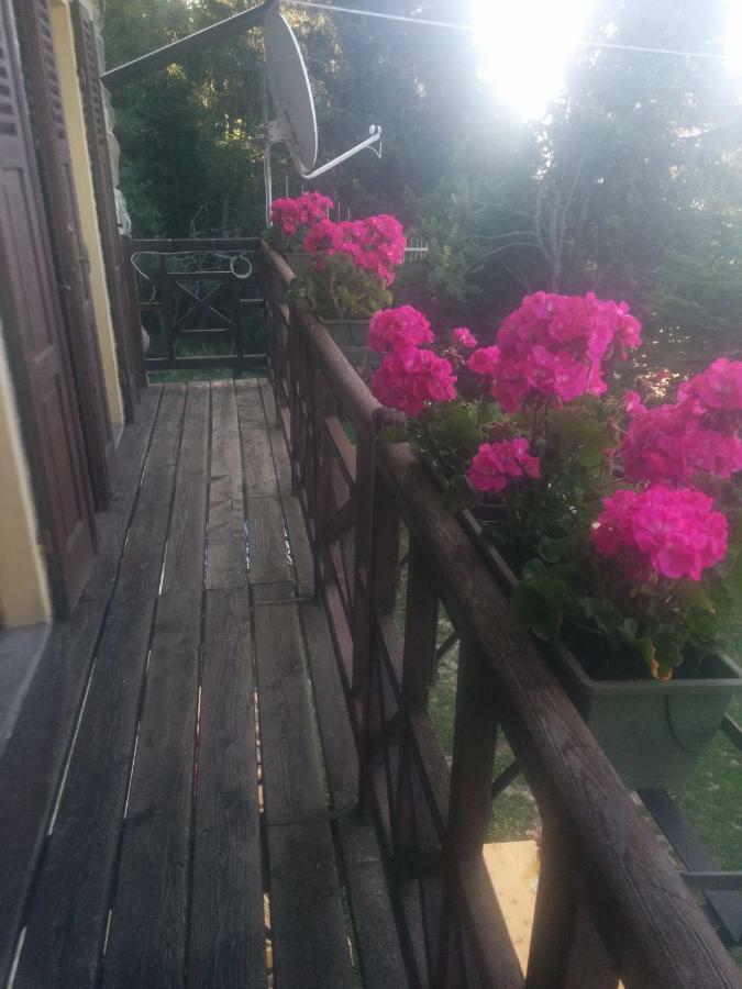 Abetina Apartment Levico Terme Bagian luar foto